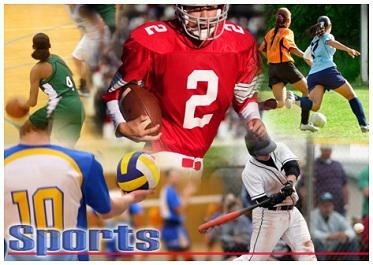 Welcome to the Twin Valley League!